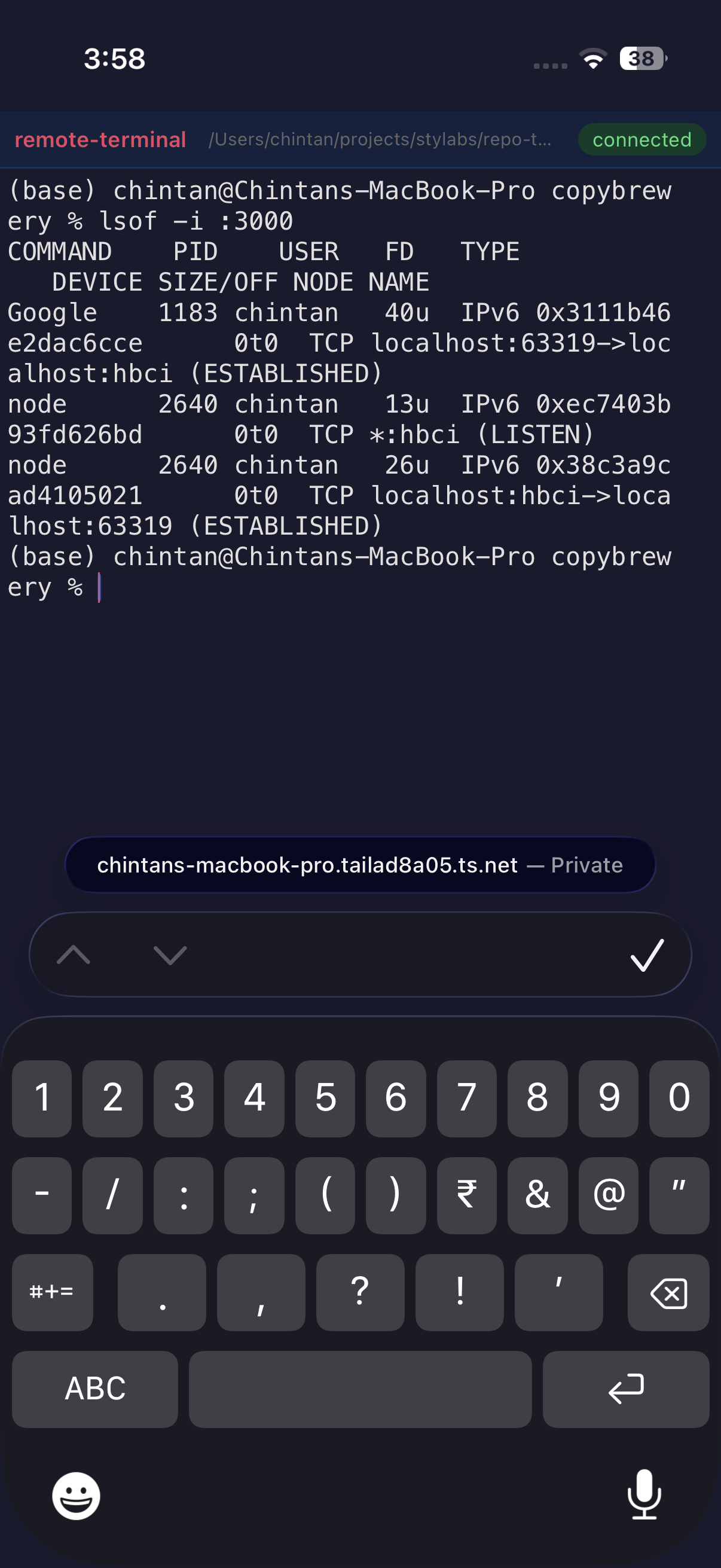 Execute shell commands